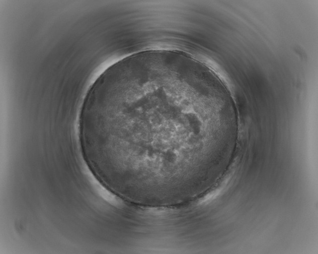 X0000112030803200908101337