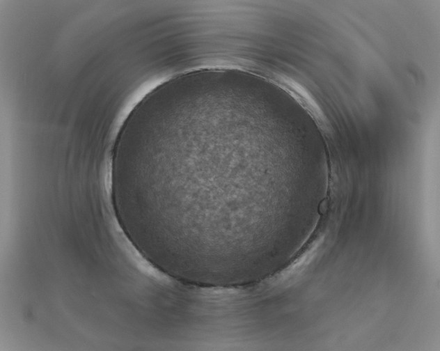 X0000112030804200908101337