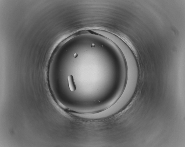 X0000112030805200908101337