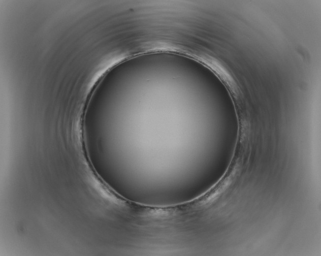 X0000112030806200908101337