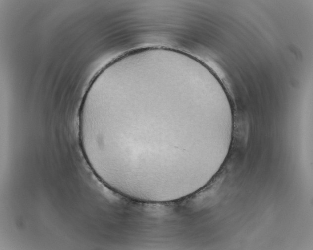 X0000112030807200908101337