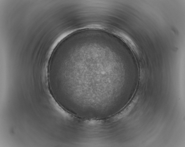 X0000112030808200908101337