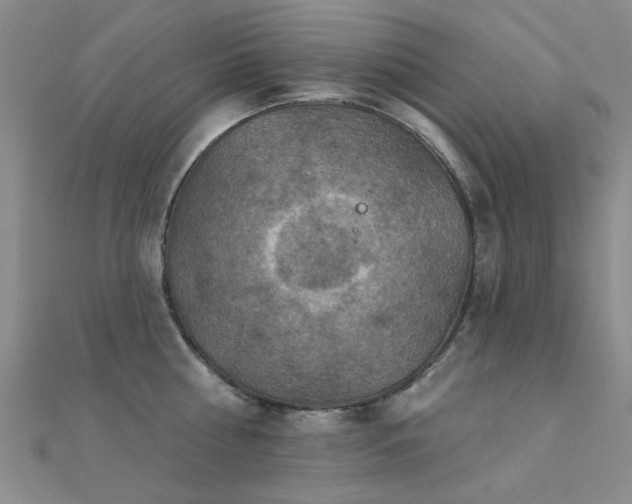 X0000112030810200908101337