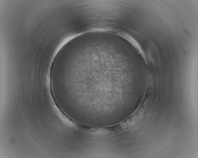 X0000112030811200908101337