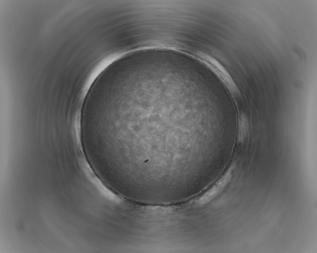 X0000112030812200908101337