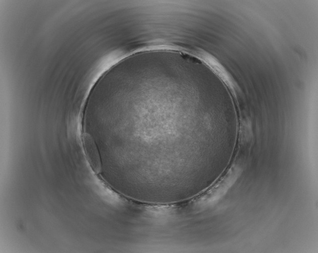 X0000112030813200908101337