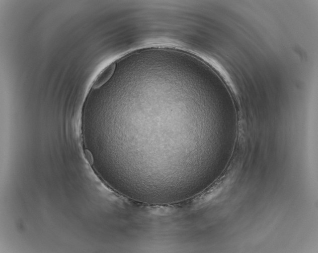 X0000112030815200908101337