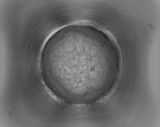 X0000112030816200908101337