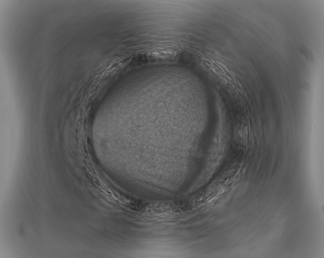 X0000112030817200908101336