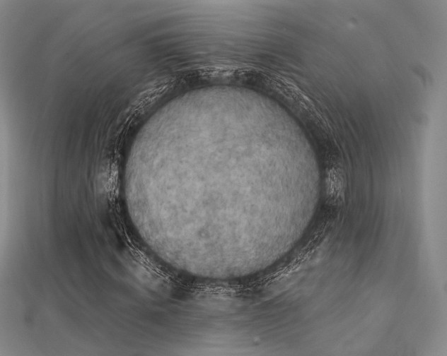X0000112030820200908101336