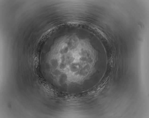 X0000112030821200908101336