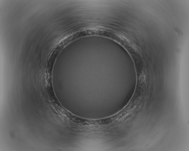 X0000112030822200908101336