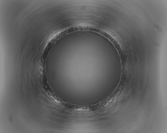 X0000112030823200908101336