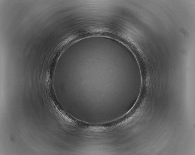 X0000112030825200908101336