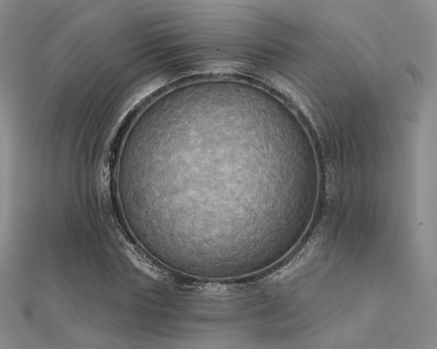 X0000112030827200908101336