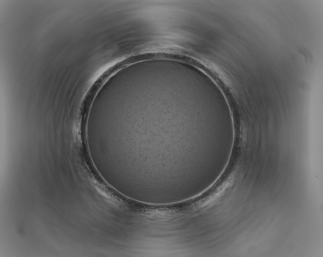X0000112030830200908101336