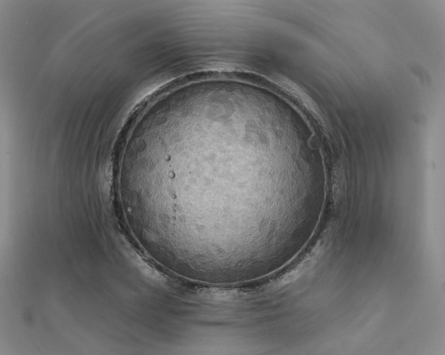 X0000112030831200908101336
