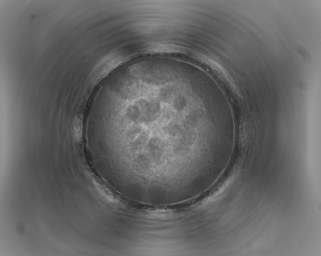 X0000112030833200908101336