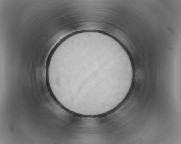 X0000112030836200908101336