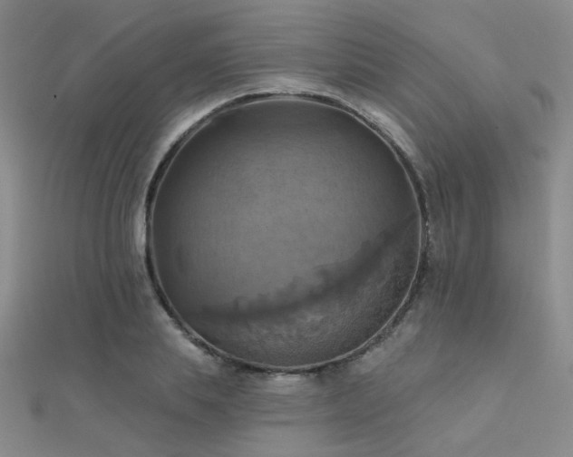 X0000112030839200908101336