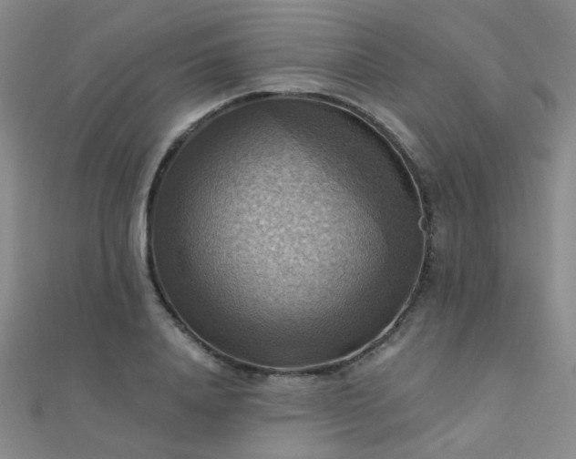 X0000112030840200908101336