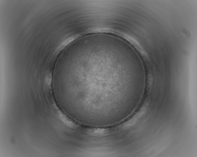 X0000112030841200908101337