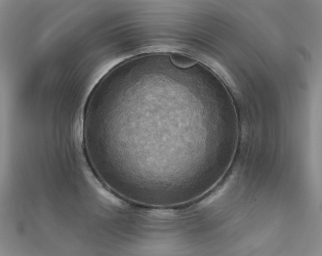X0000112030844200908101337