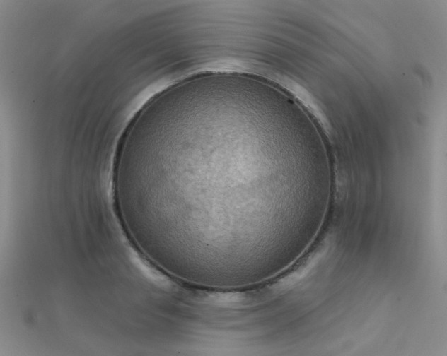 X0000112030845200908101337