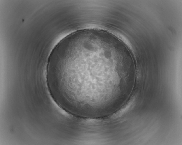 X0000112030847200908101337