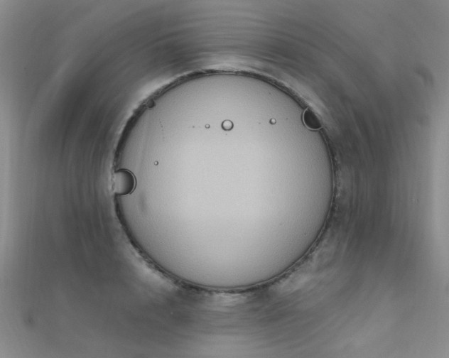 X0000112030848200908101337
