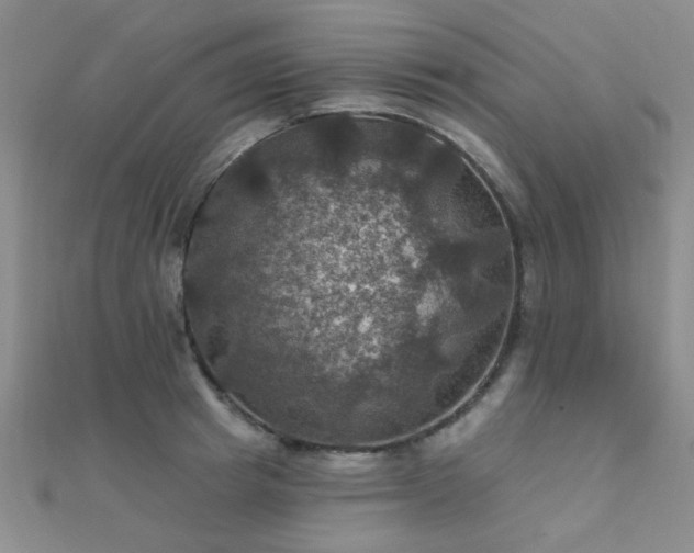 X0000112030849200908101337