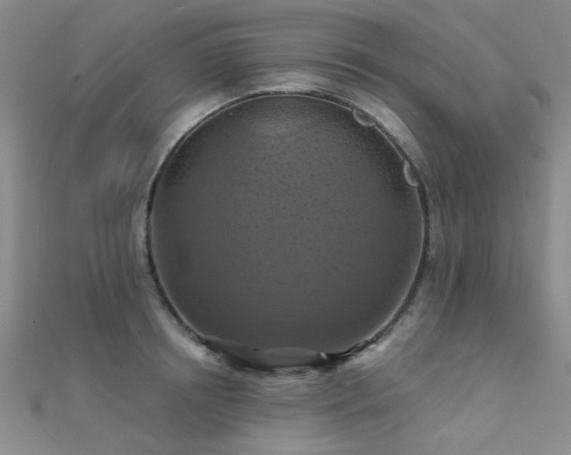 X0000112030850200908101337