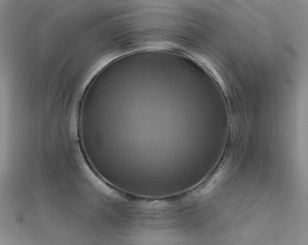 X0000112030851200908101337