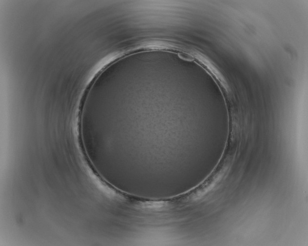 X0000112030853200908101337