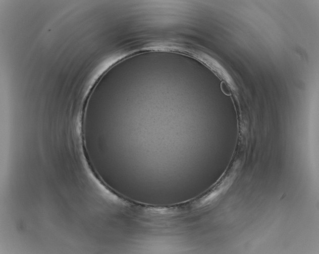 X0000112030855200908101337
