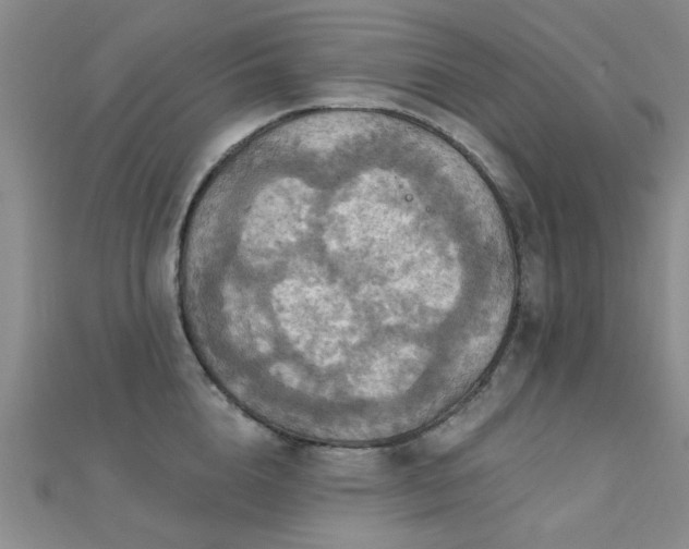 X0000112030856200908101337