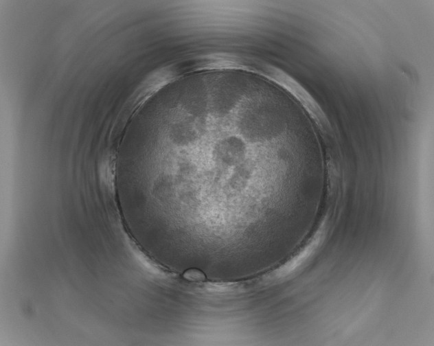 X0000112030857200908101337