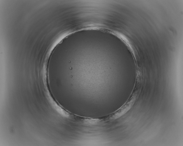 X0000112030859200908101337
