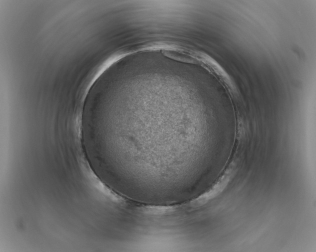 X0000112030860200908101337