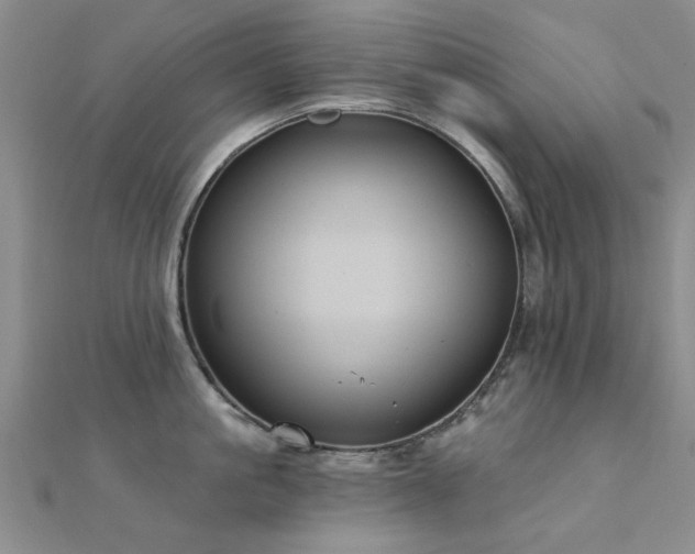 X0000112030861200908101337