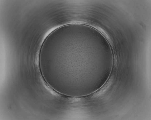 X0000112030862200908101337
