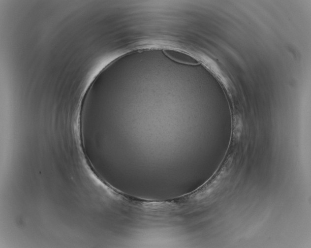 X0000112030863200908101337