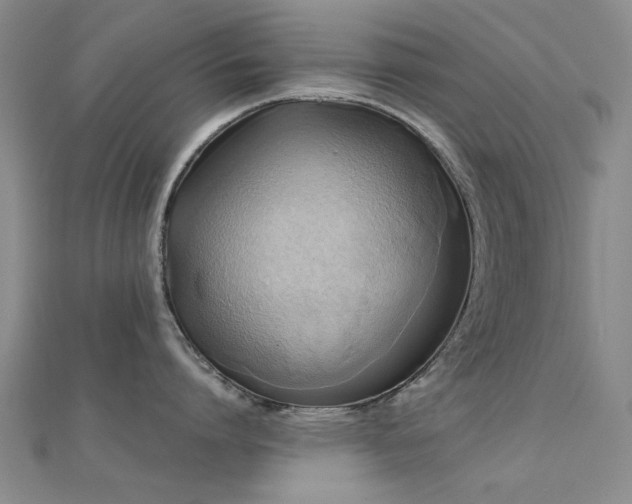 X0000112030864200908101337