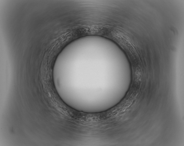 X0000112030865200908101336