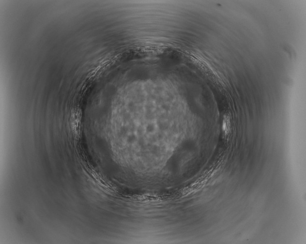 X0000112030867200908101336