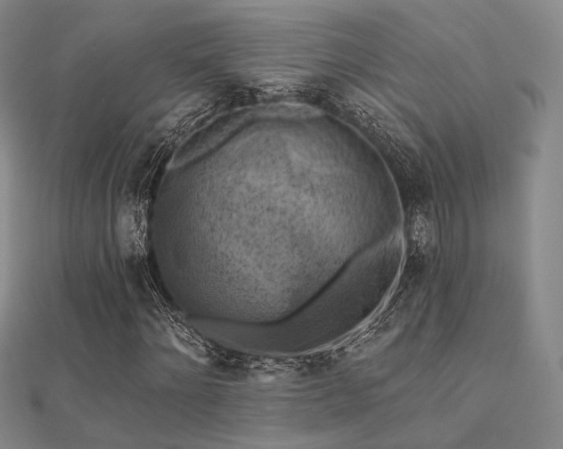 X0000112030868200908101336