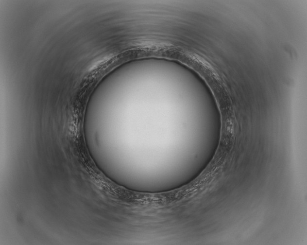 X0000112030869200908101336