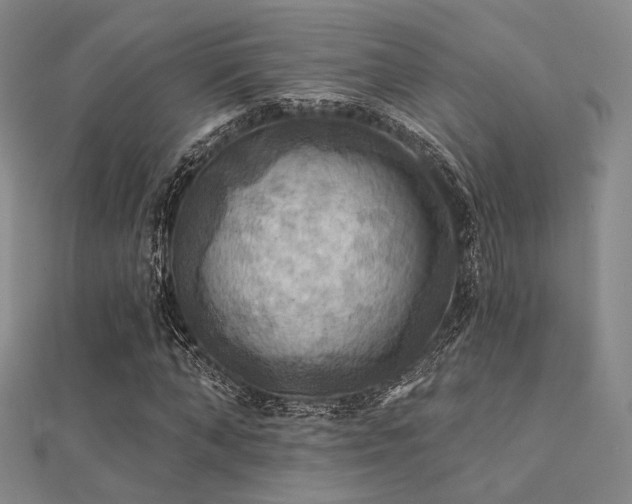 X0000112030870200908101336