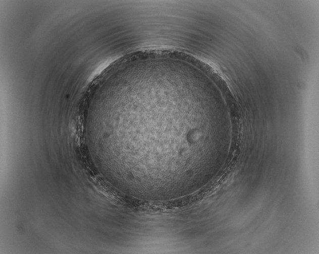 X0000112030871200908101336