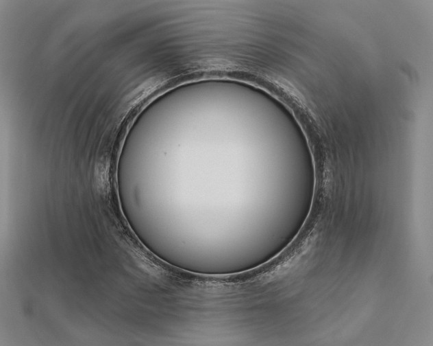 X0000112030873200908101336